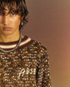 Andersson Bell WINGS CREW-NECK SWEATER atb1033m(BROWN)