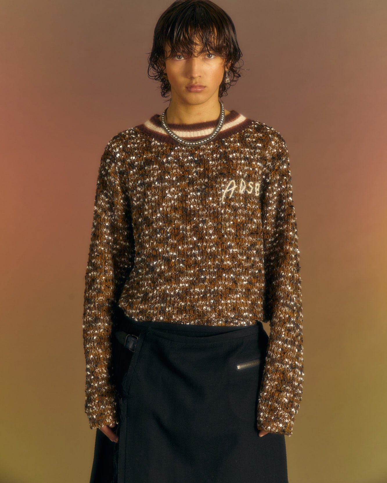 Andersson Bell WINGS CREW-NECK SWEATER atb1033m(BROWN)