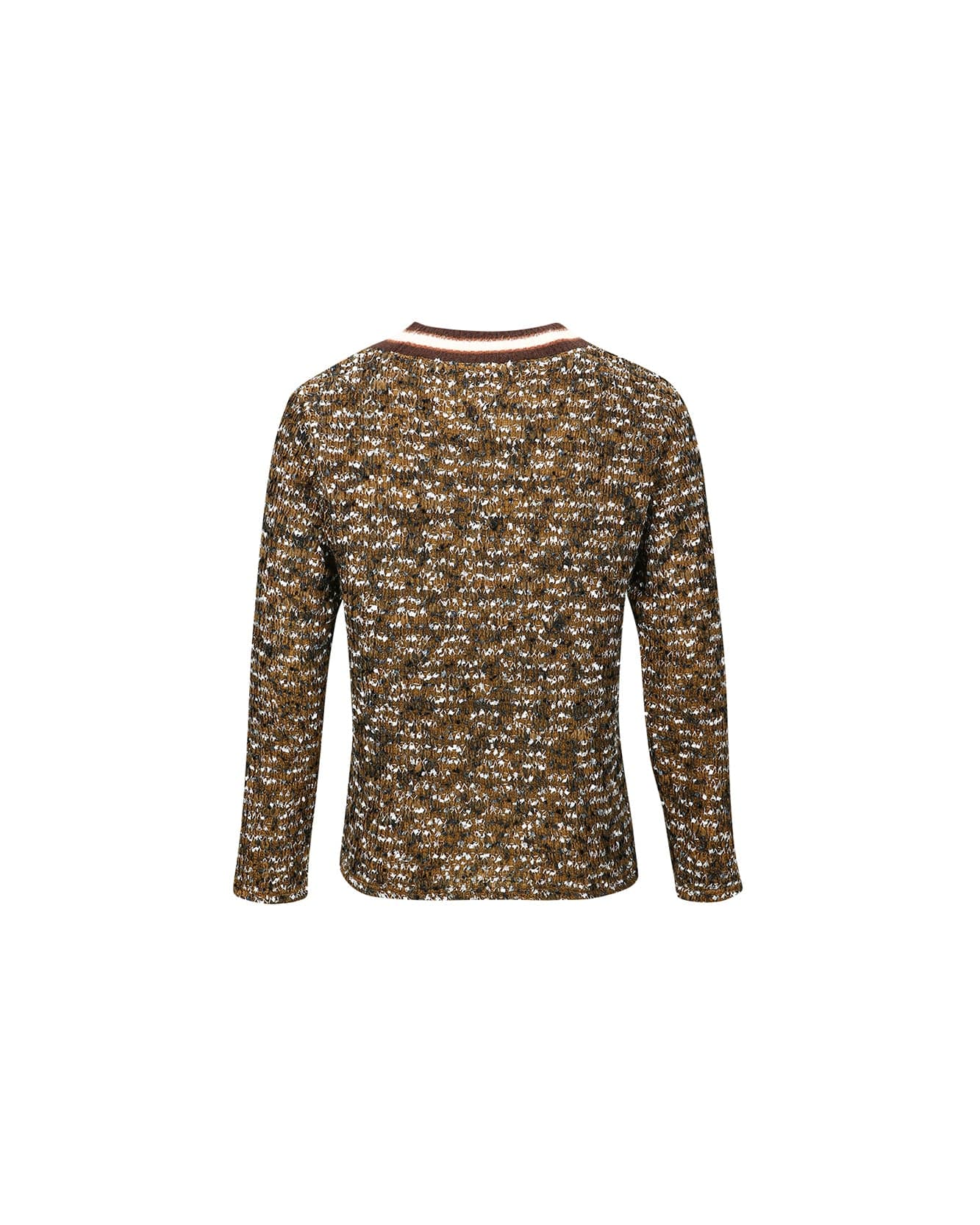 Andersson Bell WINGS CREW-NECK SWEATER atb1033m(BROWN)